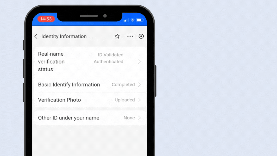 Await Verification demonstration